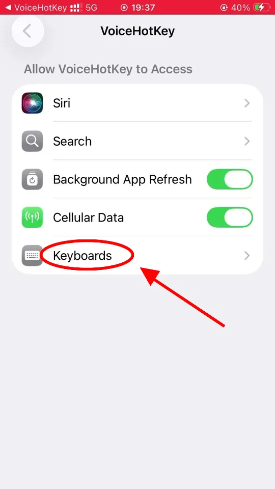 VoiceHotKey erişimini gösteren iOS Settings